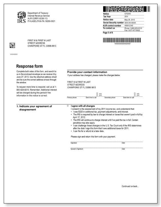 IRS Audits